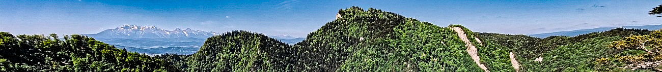 PIENINY