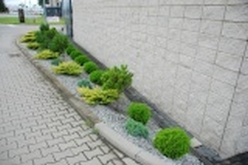 w_DSC_0461.jpg