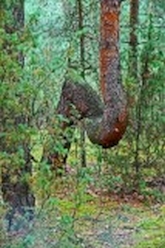 w_DSC_0490.jpg