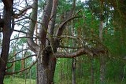 w_DSC_0514.jpg