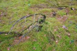 w_DSC_0563.jpg