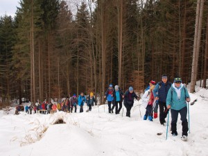 P1262362.jpg
