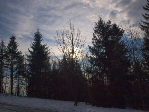 P1262432.jpg