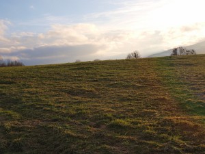 P1262451.jpg