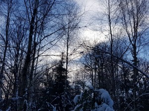 20251130_134302.jpg