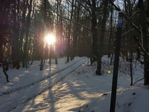 20251130_135355.jpg