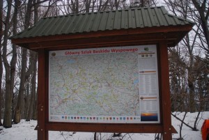 wDSC_0937.jpg