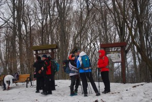wDSC_0947.jpg