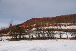 wDSC_0957.jpg
