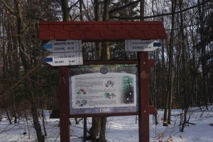 wDSC_0966.jpg