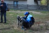 wDSC_0328.jpg
