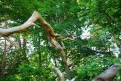 w_ZłotyPotok_NaGROBLI_DSC_0206.jpg