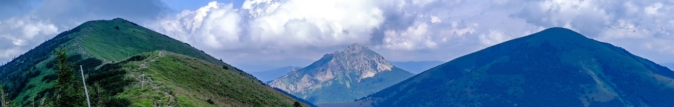 widok