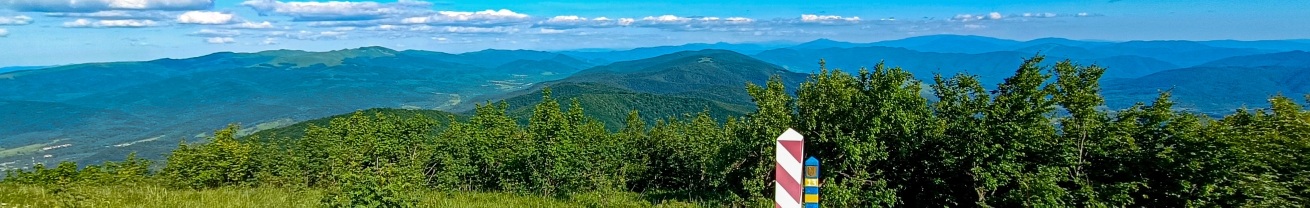 widok